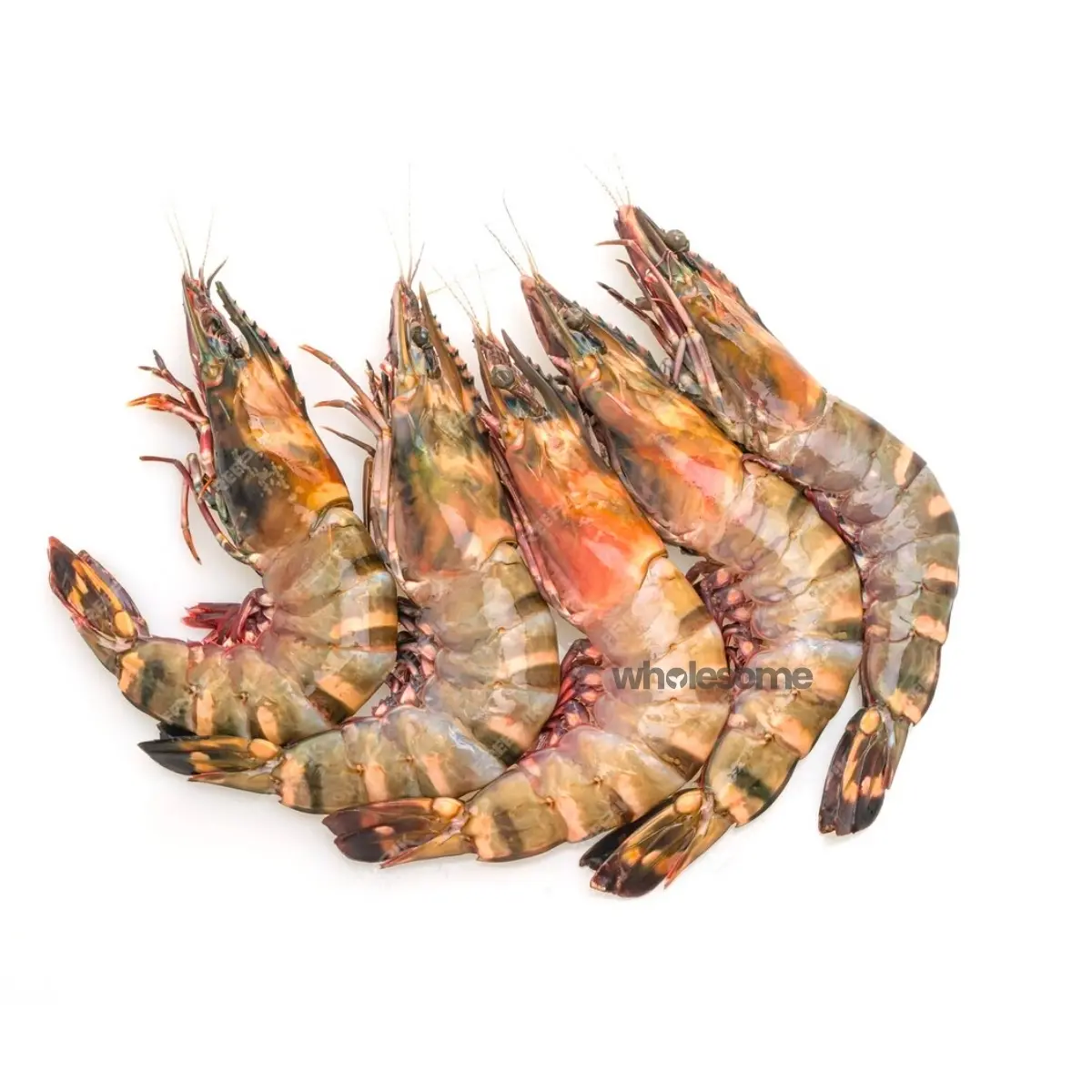 Medium Prawns