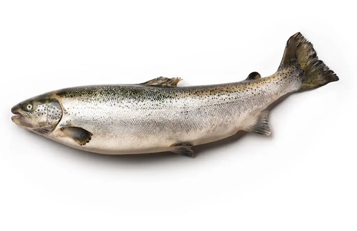 Whole Fish