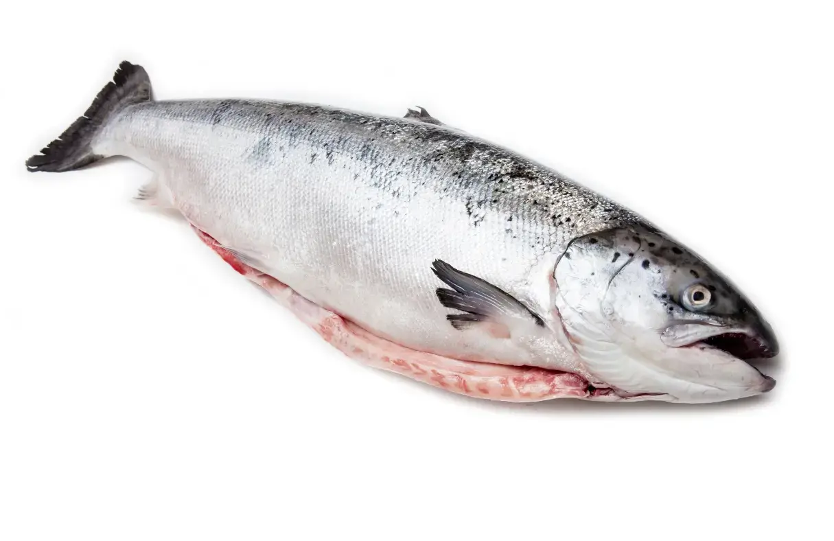 Whole and Gutted Fish