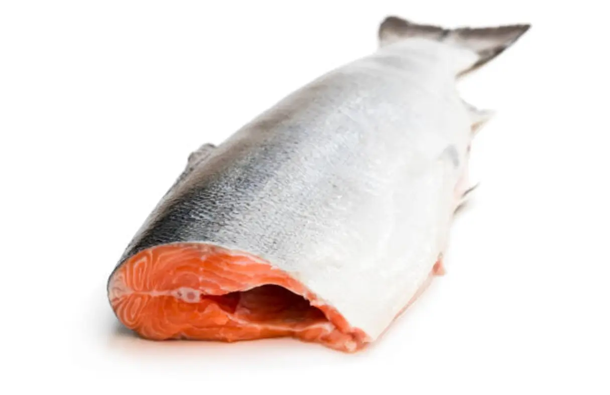 Headless and Gutted Fish