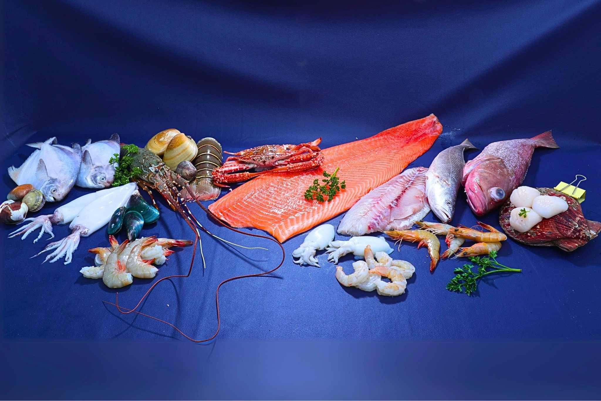 Fish 1